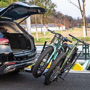 2 Inch Hitch Mount Bike Rack 2-Bike Platform Style Carrier with Tilt-able Design for Easy Trunk Access  |   Garages Garages