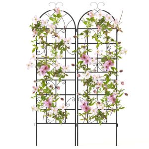 2/4 Pack 71 x 20 Inch Metal Garden Trellis for Climbing Plants Black |   Plant Supports Garden Black