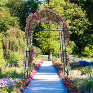 7.5 Feet Garden Arch Trellis with PE Coated Metal Structure  |   Plant Supports Garden Plant Supports