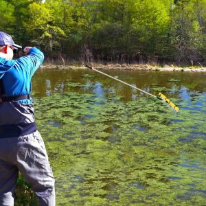 Floating Weed Lake Rake 36” Aquatic Pond Weed Cutter with Foam Floats Silver & Yellow |   Garden Tools Garden Tools