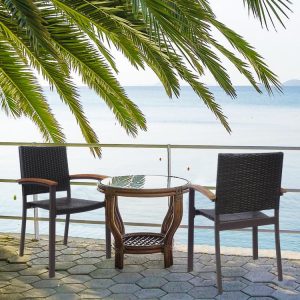 Set of 2 Outdoor Patio PE Rattan Dining Chairs   |   Patio Dining Chairs Outdoor & Patio Furniture Patio Dining Chairs